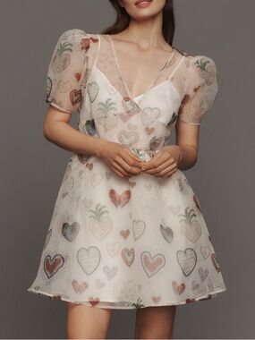 Farm Rio Semi-Sheer Puff-Sleeve Mini Dress Size S